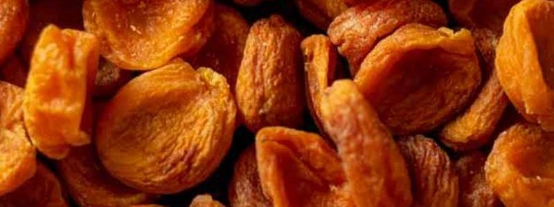 new-project-3 new-project-3