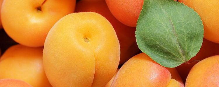 apricot-2 apricot-2